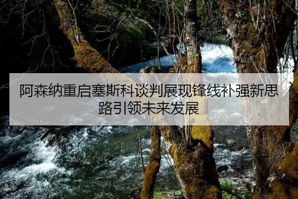 阿森纳重启塞斯科谈判展现锋线补强新思路引领未来发展