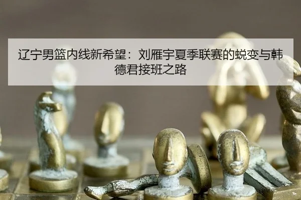 辽宁男篮内线新希望：刘雁宇夏季联赛的蜕变与韩德君接班之路